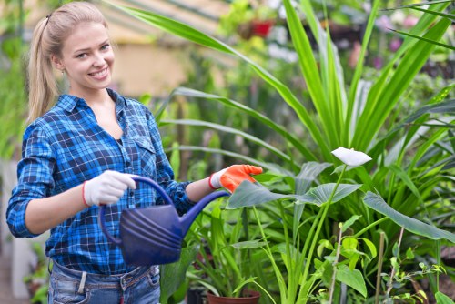 Hornsey tree care specialists supporting healthy trees and landscapes