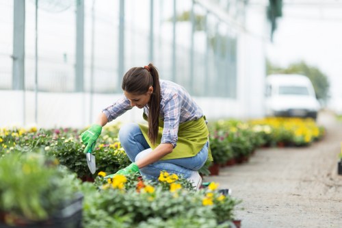 Emergency tree surgeons assessing storm-damaged trees in Hornsey