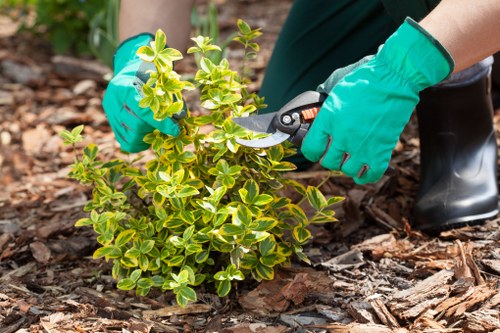 WCAG 2.1 AA compliance and screen-reader friendly tree surgery website content