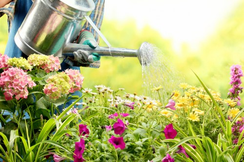 Local hedge maintenance for Hornsey homes and boundaries
