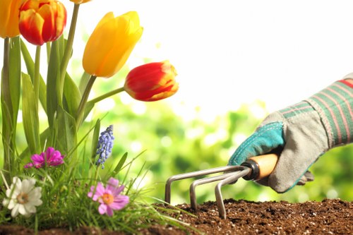 Tree condition assessment for Hornsey homes and shared gardens