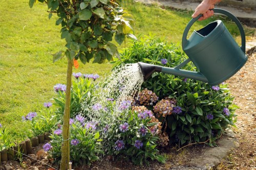 Professional tree removal service clearing branches and timber in Hornsey