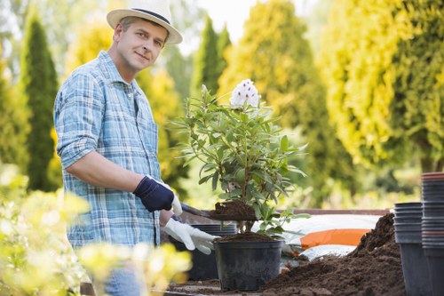 Hornsey tree inspection service for overhanging branches and root concerns