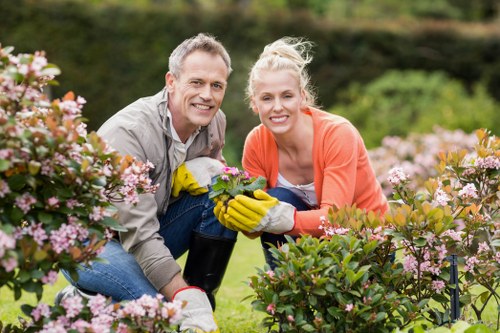 Emergency tree care for narrow access gardens in Hornsey